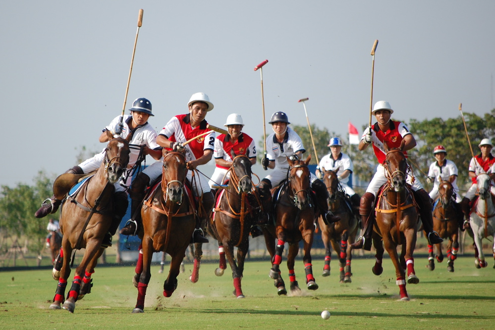 Polo (equestrian sport) - Royal Horse